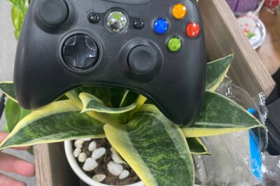 The Xbox 360 controller costs $1000; it’s expensive because of this feature.